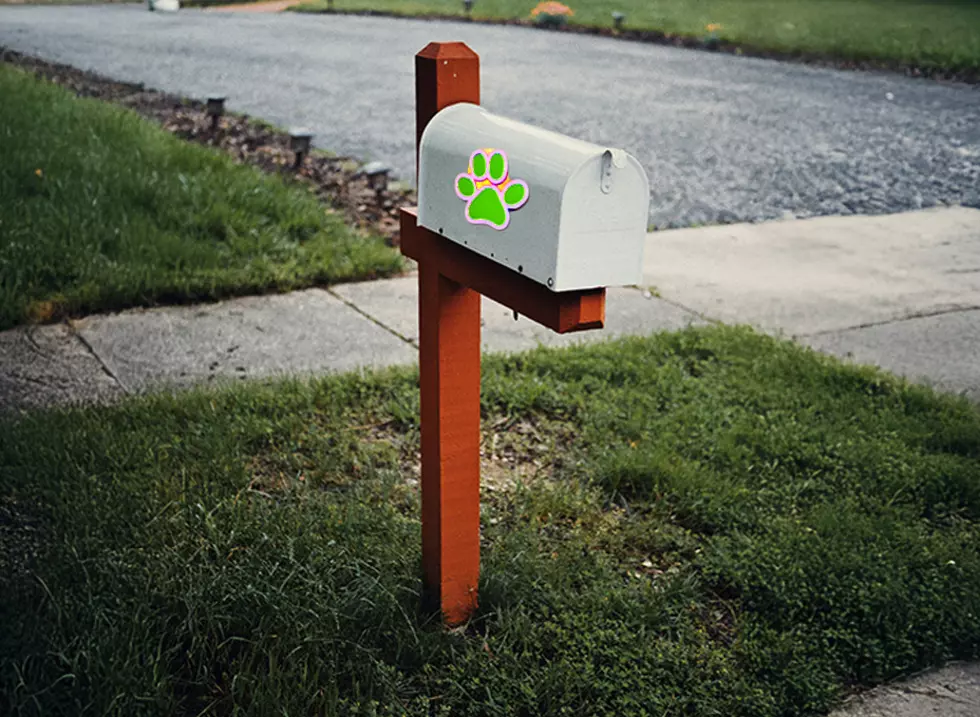 Utah, If You See a Paw Print Sticker on Your Mailbox, Don’t Touch it