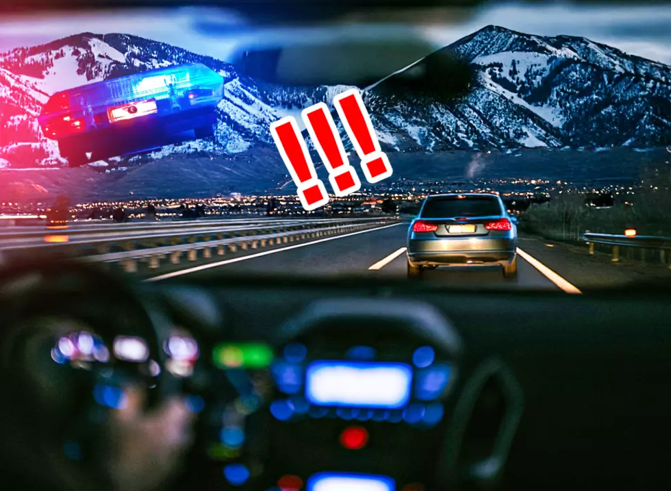 Utah Gives How Many TRAFFIC POINTS for Tailgating??