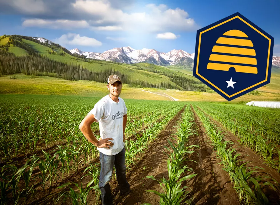 Surprised? This is Utah’s Biggest Crop…